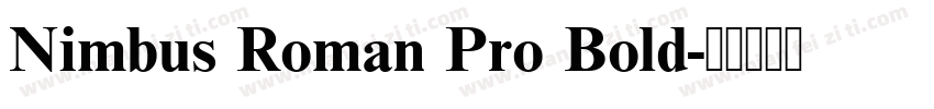 Nimbus Roman Pro Bold字体转换